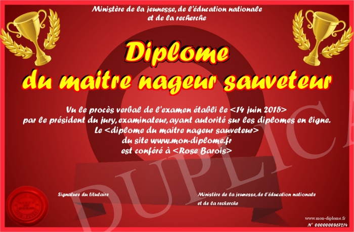 diplome maitre nageur